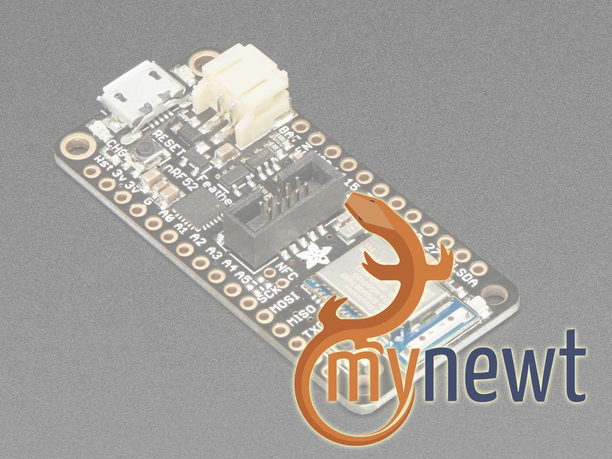 Adafruit nRF52 BLE board with Mynewt