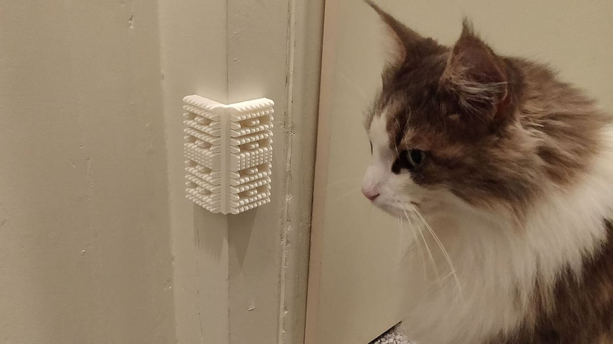 The cat approves