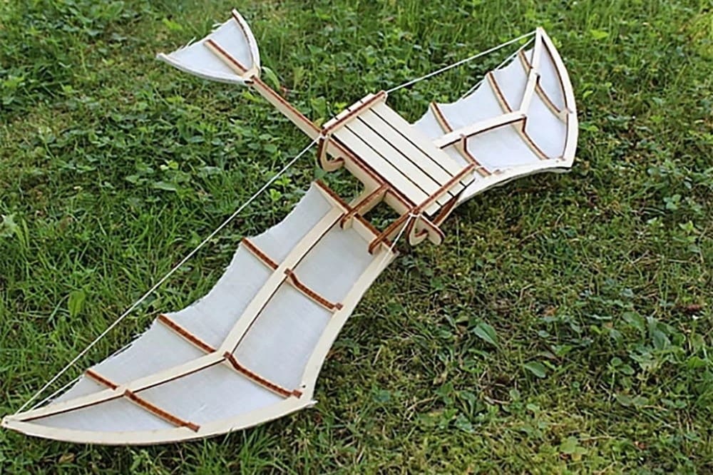 It's gliding, not flying!
