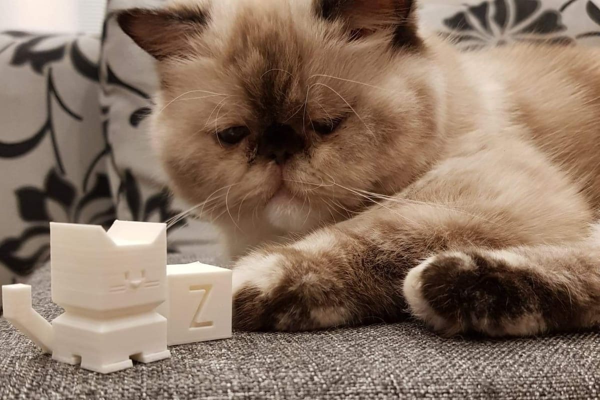 No, not that cat! The white one!