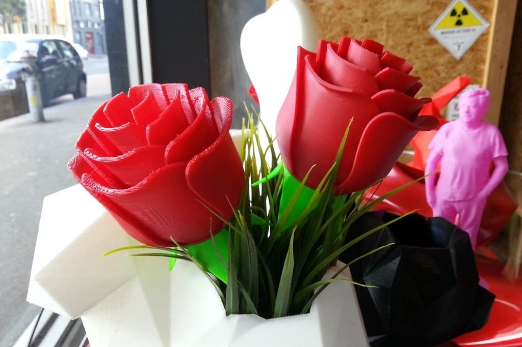 These flowers will never wilt