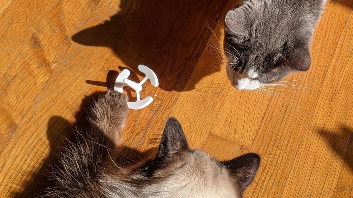 Cats need fidget toys too!