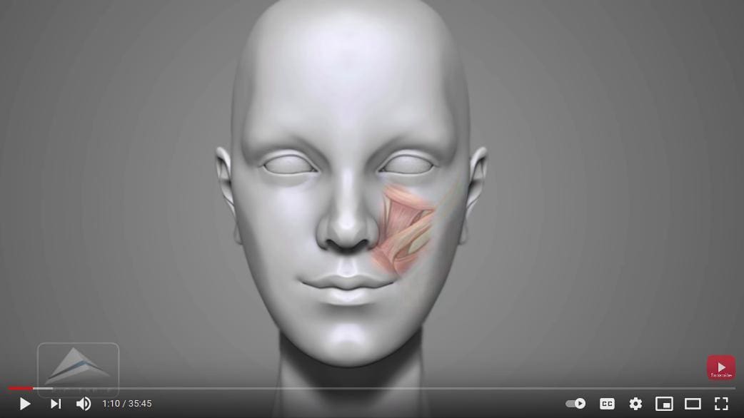 Feel confident in your mastery of Maya head modeling