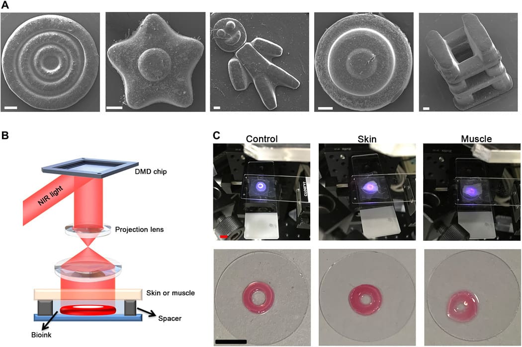 Near-infrared light is used to cure layers of bioink within the body