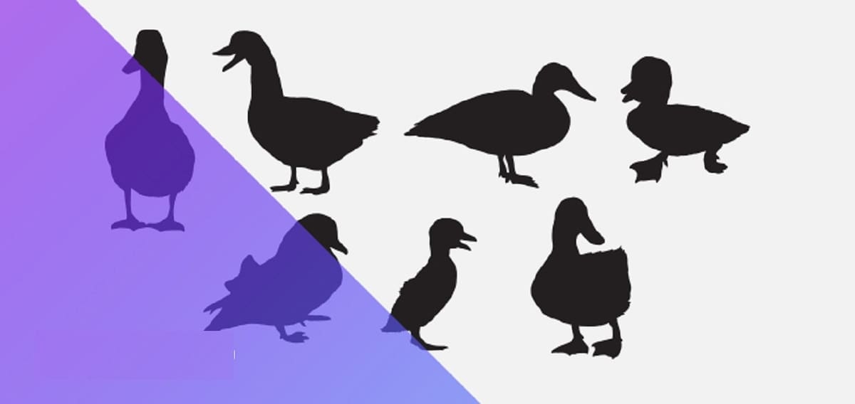 As one of the many collection options, here are some ducks!