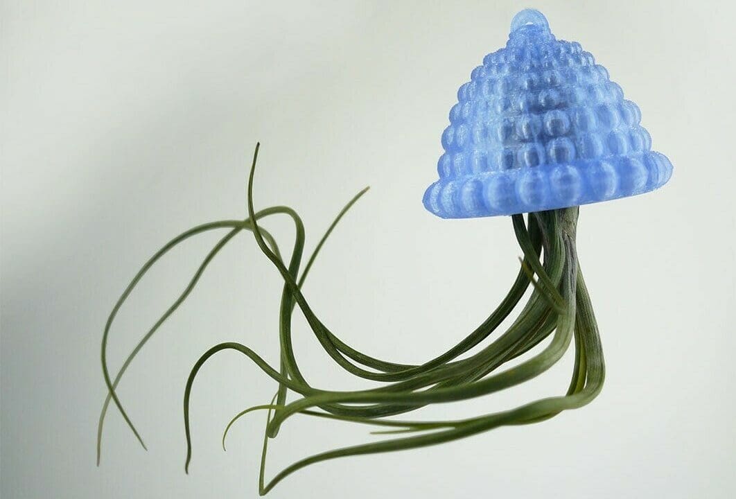 The designer recommends using a Tillandsia plant for this planter