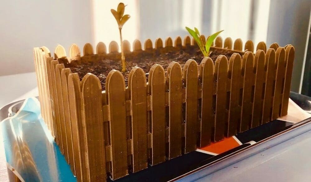 Growing a bonsai is a commited relationship