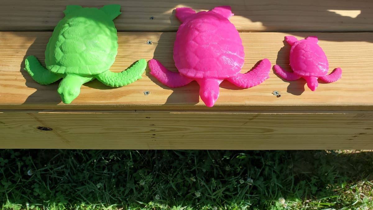 Image of: 14. Turtles