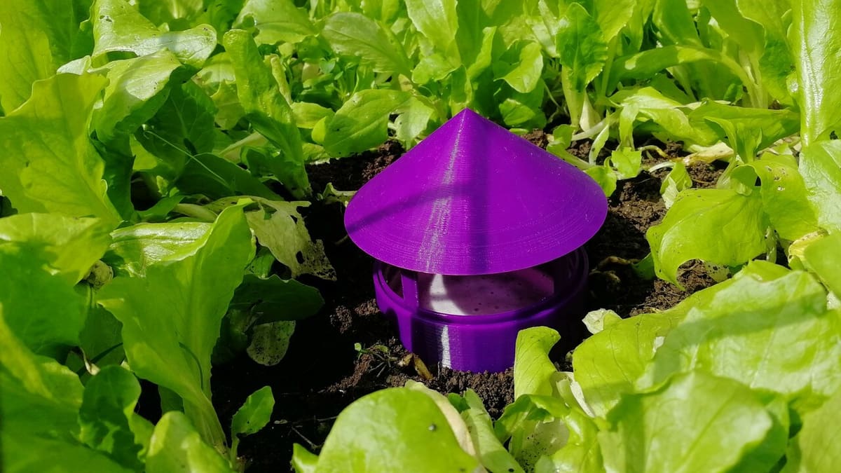 This garden trap is a good way to keep garden pests away from your plants