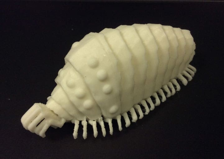 This nautilus-looking creature is an Ohmu from the Sea of Corruption
