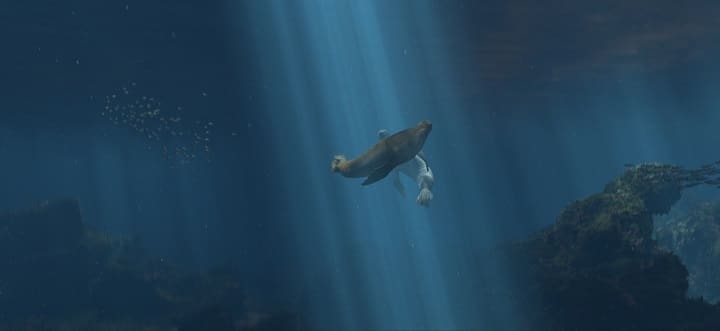 Dive deep in detail