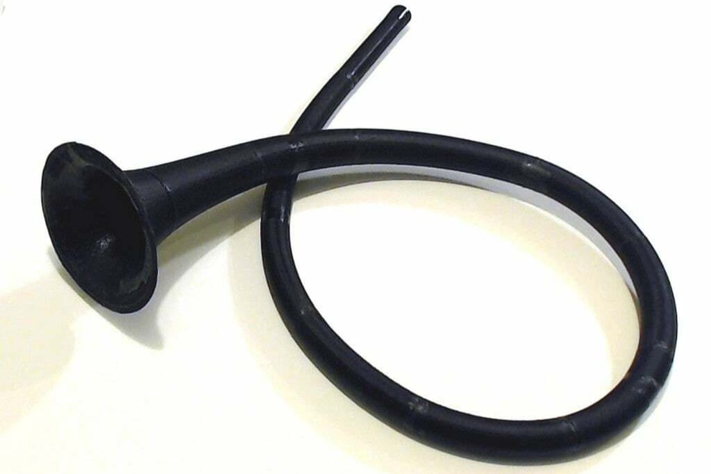 Image of: 10. Oval Horn