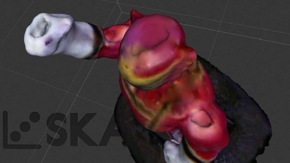 Get 3D scanning with Skanect