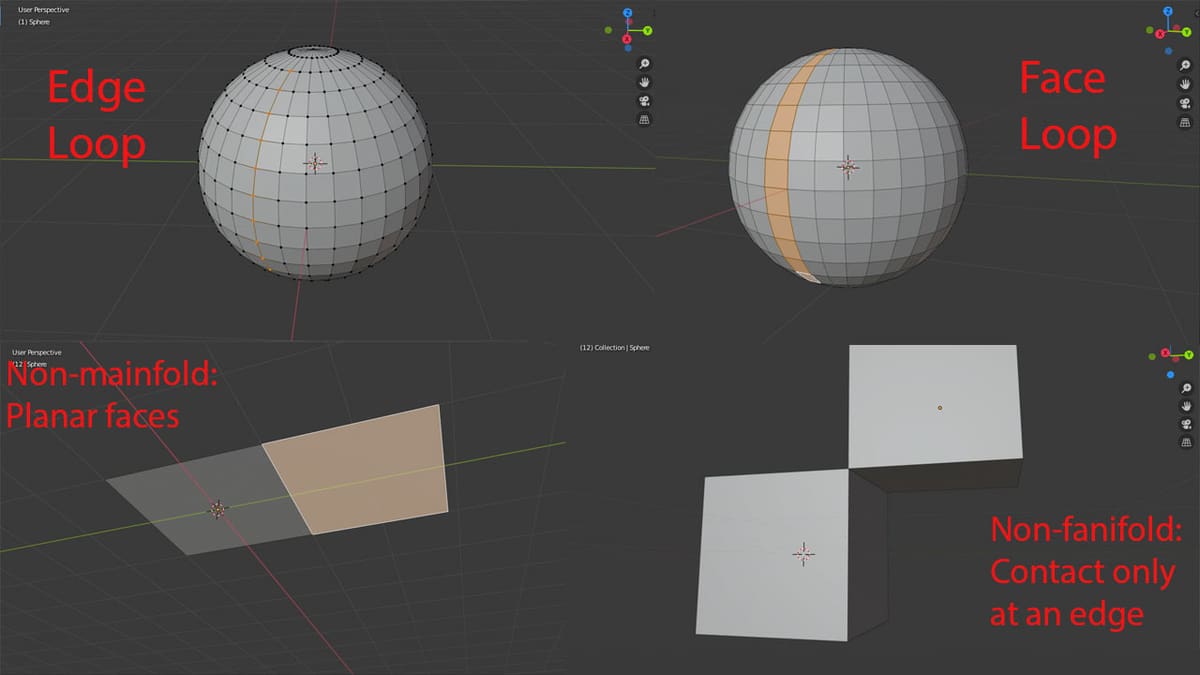 Working with loops is essential in mesh modeling