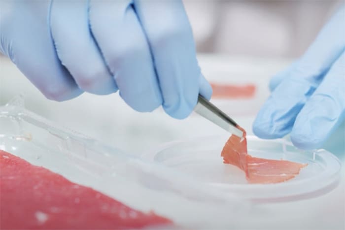 Image of 3D Printed Food: MeaTech