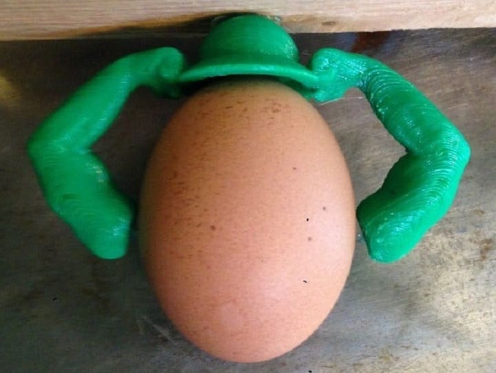 Who has the bigger arms, the chicken or the egg?