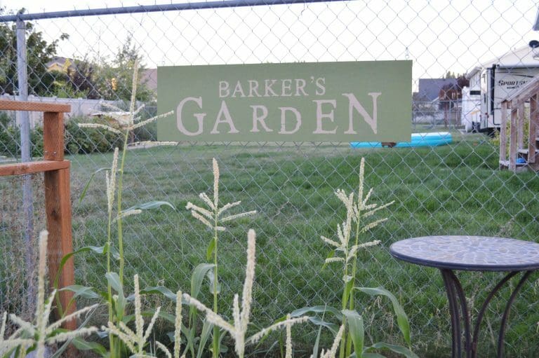 Beware the Barker?