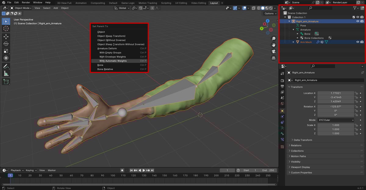 Image of: Step 4: Categorize Bones