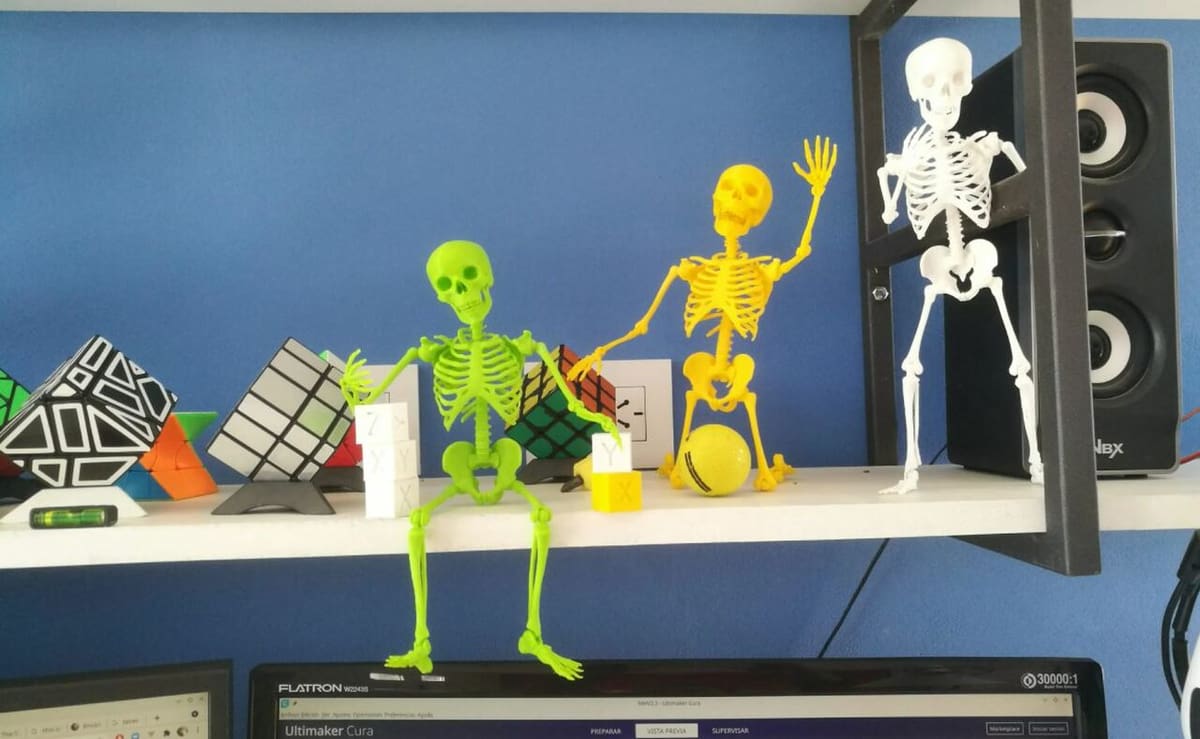 The limbs of this skeleton can be moved