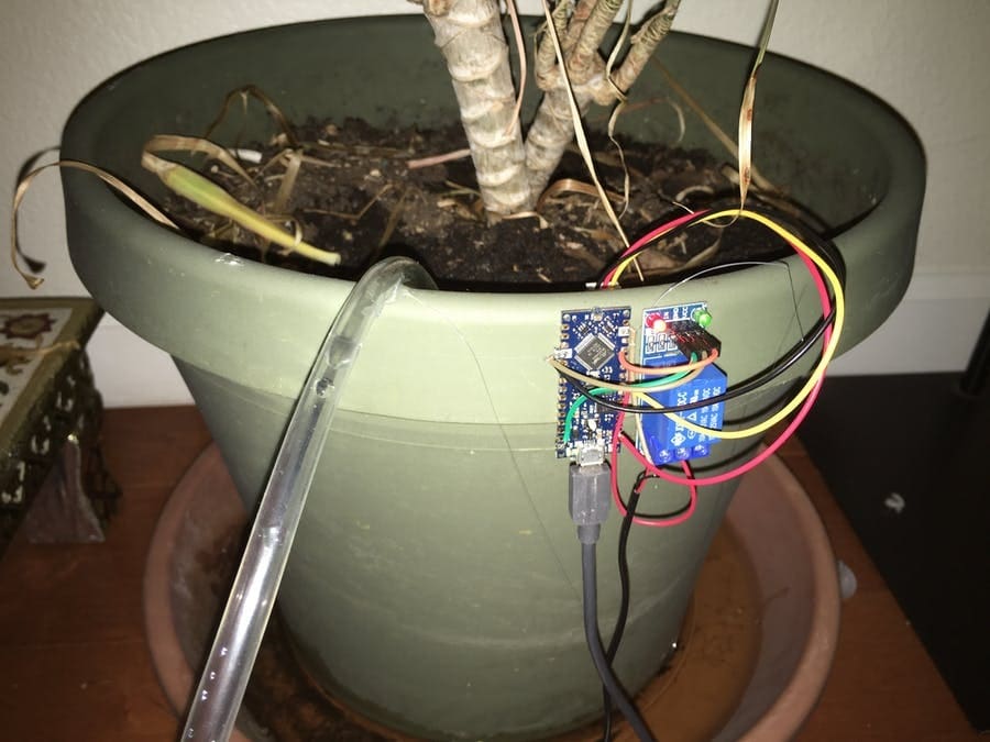 An easy weekend garden project