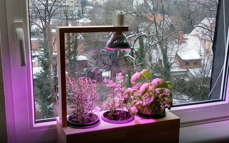 A self-irrigation system for your indoor herbs