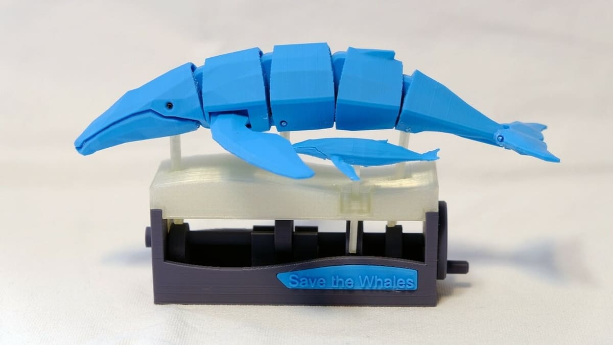 Having a whale of a time!