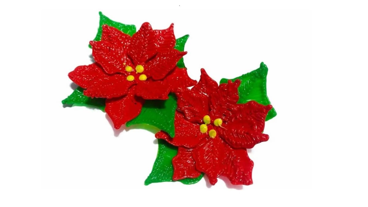 Image of: 26. Poinsettia Flower