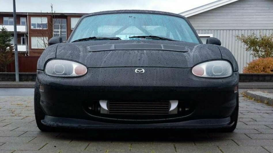 These fangs attach near the front grill of your car