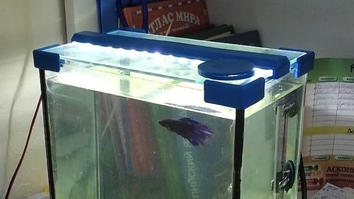Lighting up your aquarium helps you keep an eye on your fish