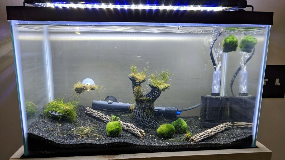 This plant holder has a Voronoi structure to allow fish to swim through the model