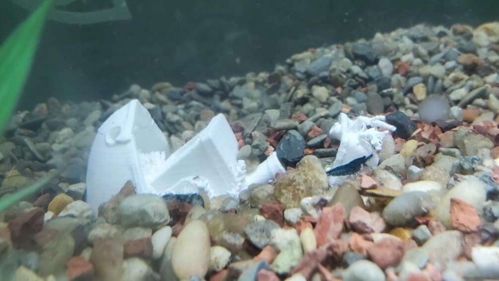 Image of: 2. Sunken Benchy