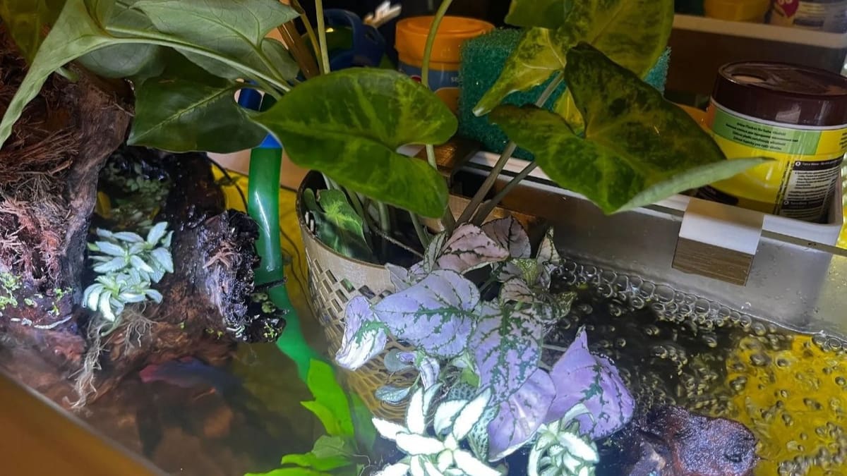 Image of: 7. Planter