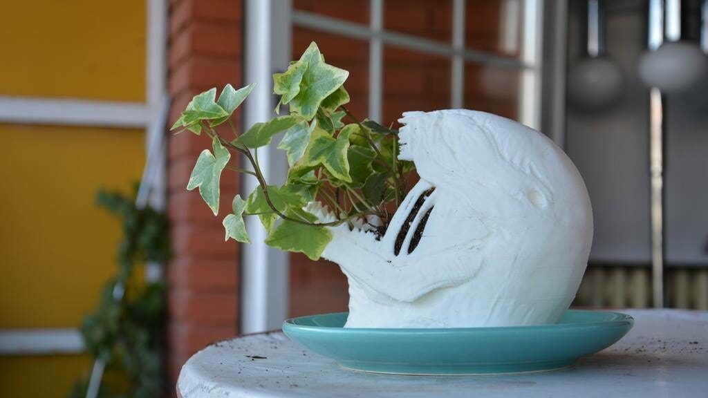 It's a venomous plant!