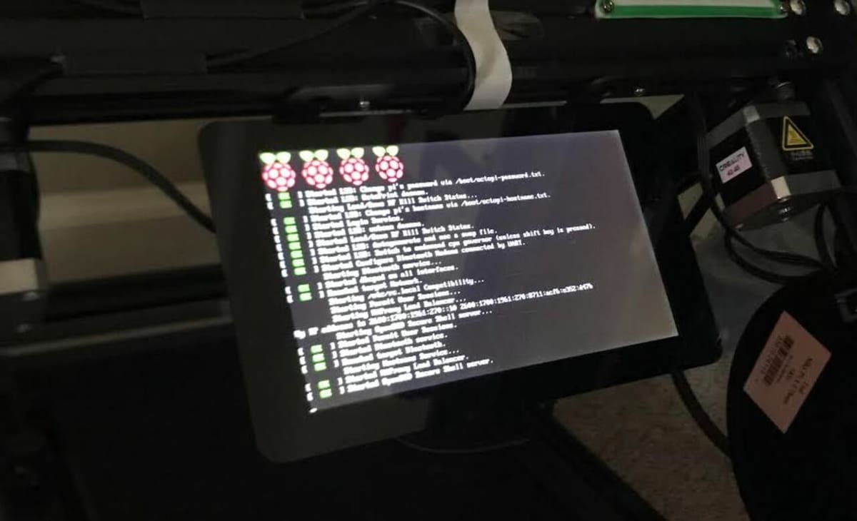 A beautiful Raspberry installation screen