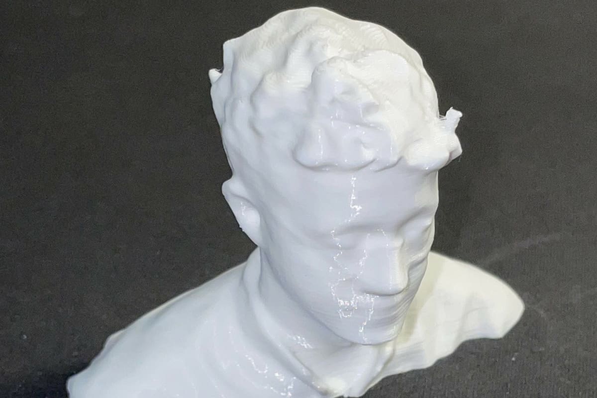 According to the maker, their eyewear may have caused the artifacts on the print's face