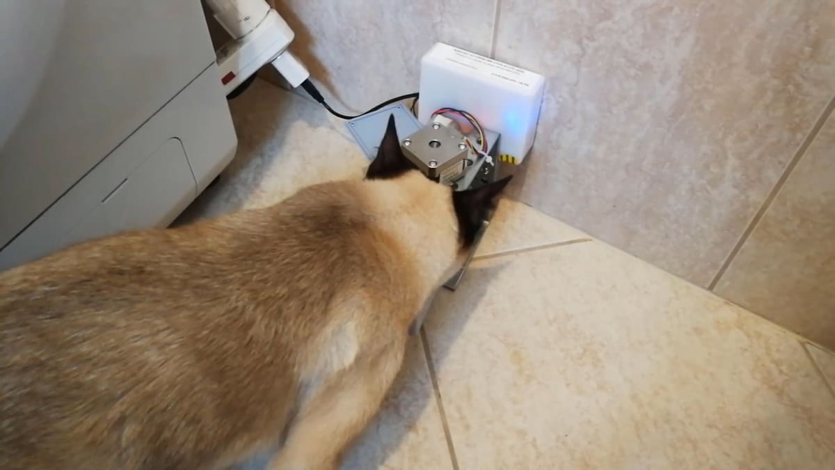This one gets the feline seal of approval