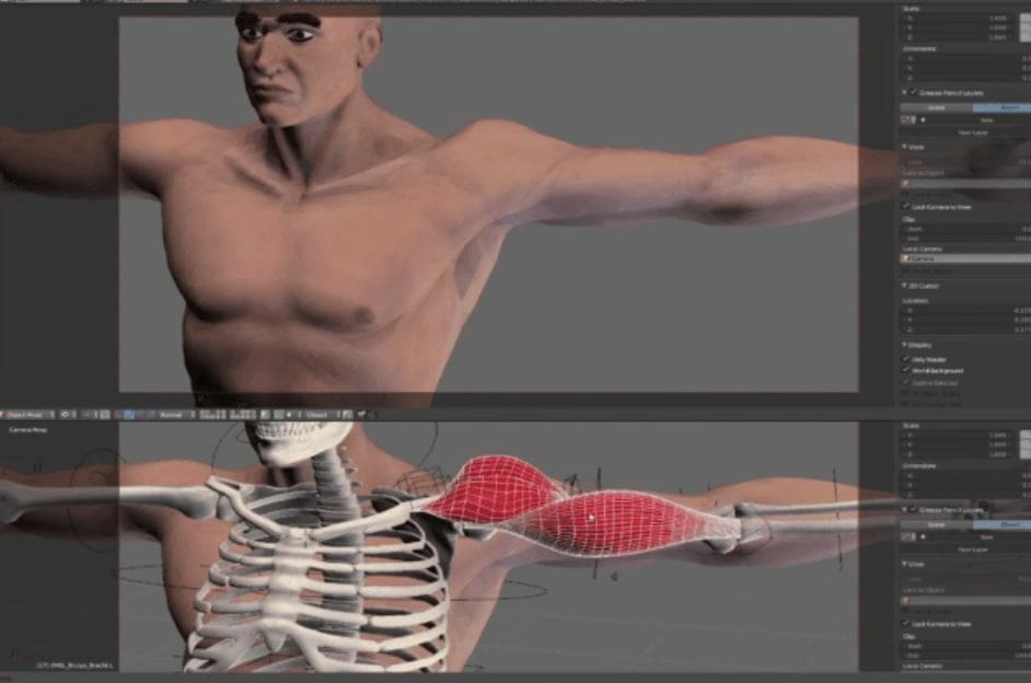 Creating realistic motion for 3D character models