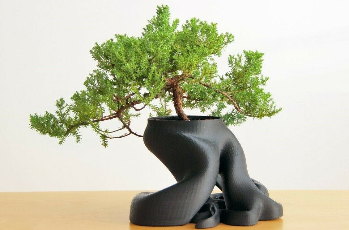 This bonsai tree was designed in 3ds Max