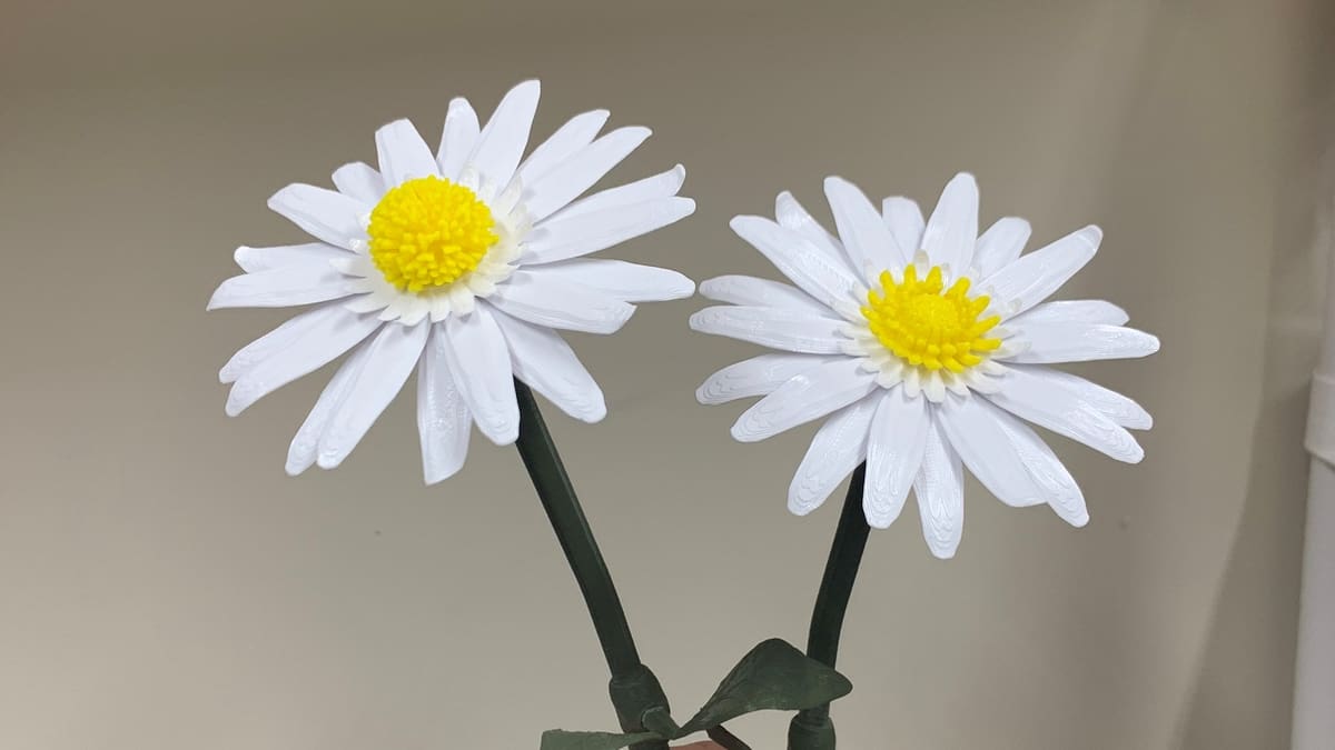 Image of: 6. Flat Daisy