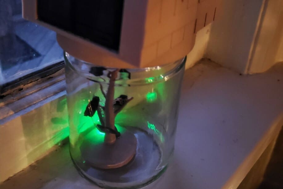 A jar containing LEDs looks like fireflies caught in a jar