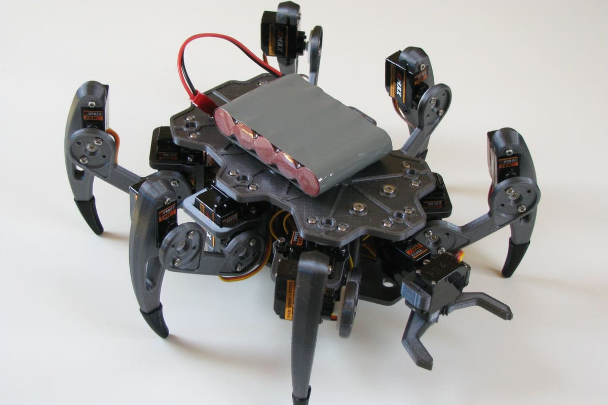 Image of: 13. Zerobug