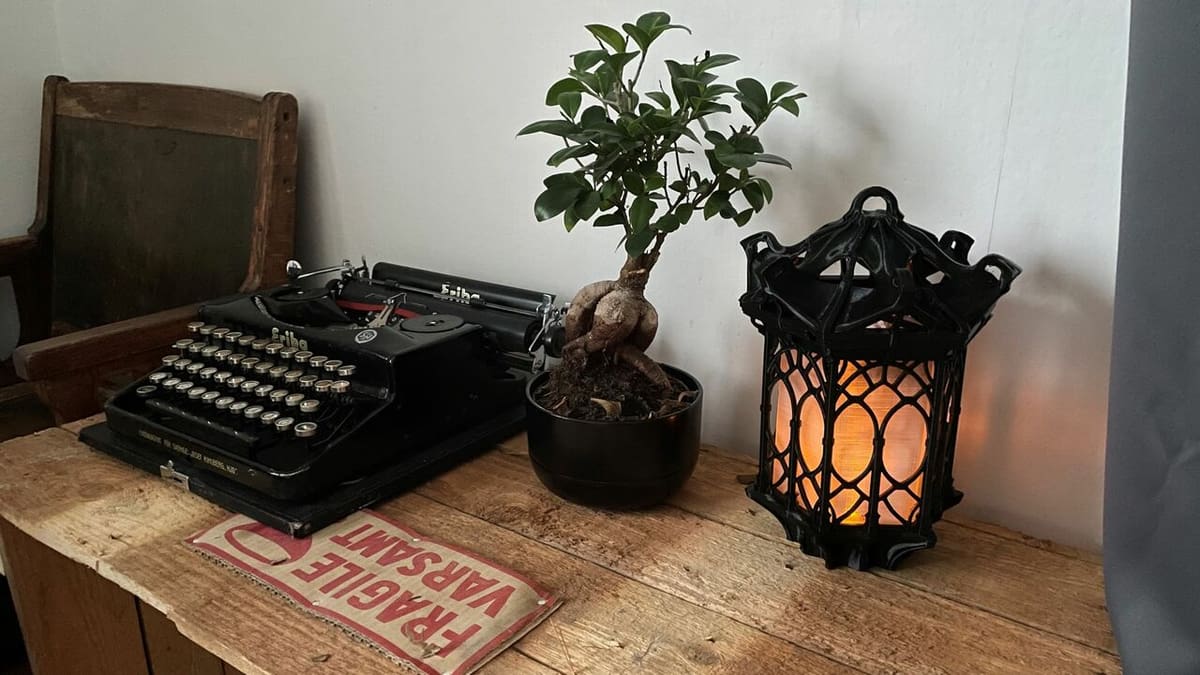 Set the vibe with this chic lantern
