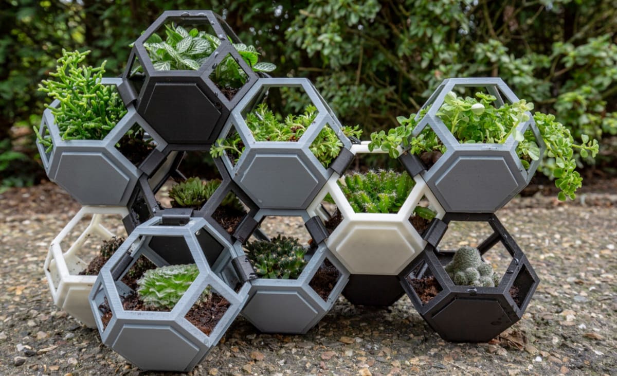 Image of: 21. Plantygon