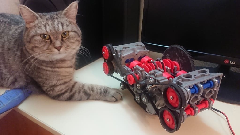 The cat may not look too impressed, but we are!