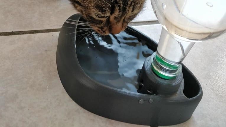 Image of: 10. Drinking Pond