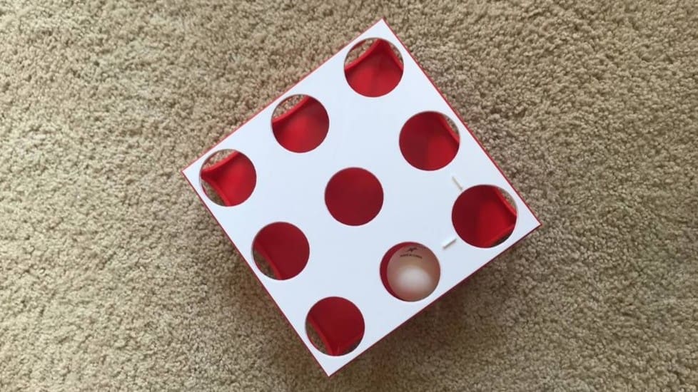 Image of: 3. Ping Pong Ball Field