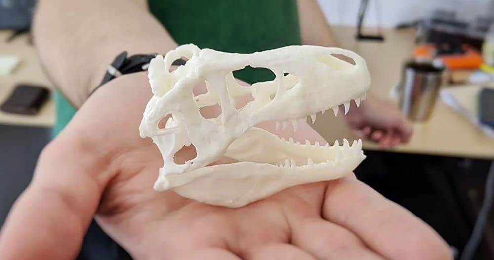 Image of 3D Printing Artifacts & Exhibits: A Museum Guide: Smithsonian Users 3D Print Thousands of Artifacts