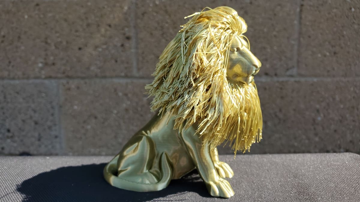 Image of: 12. Hairy Lion