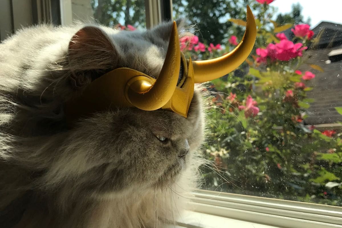 With Alligator Loki out there, who's to say there isn't a Cat Loki too?