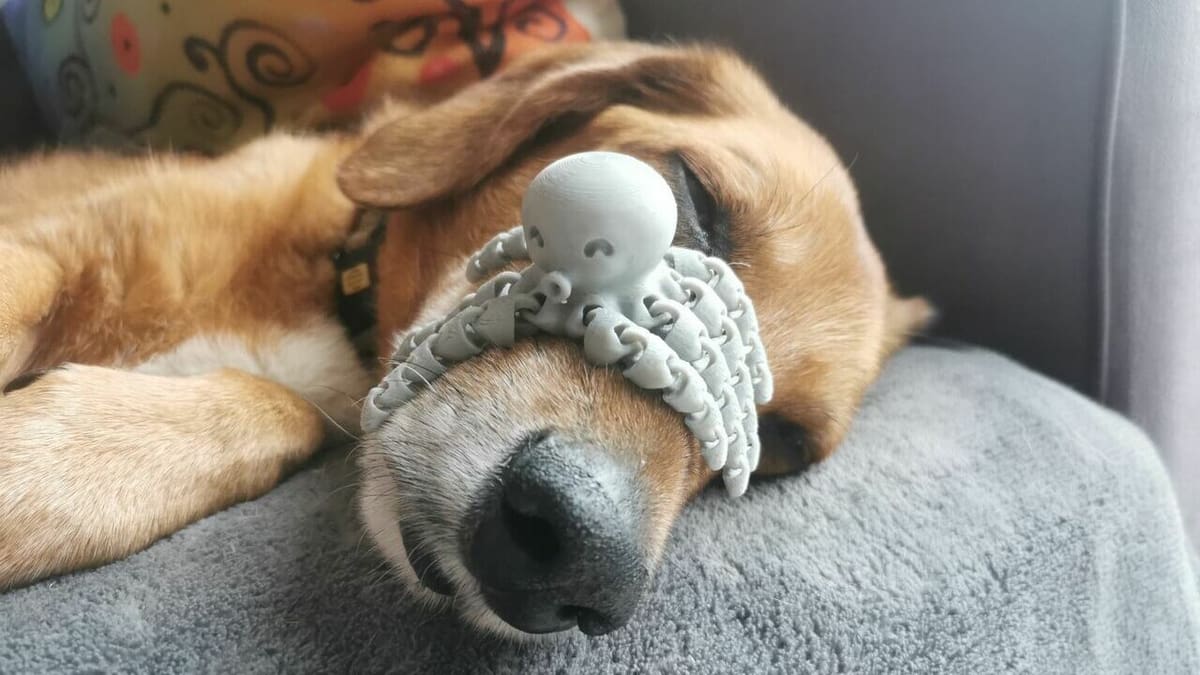 A great nap companion